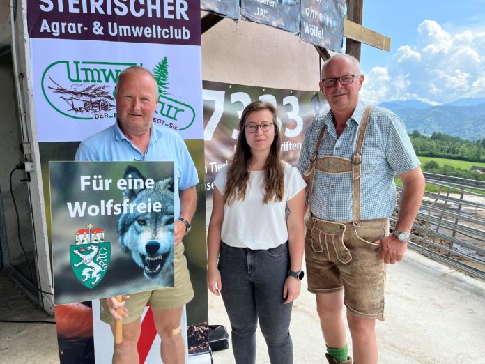 Wolf PK In St. Marein