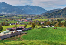 Vermögensteuer würde Bauern besonders hart treffen