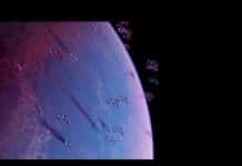 Wirtschaftswald-Film gewinnt Silber