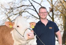 Der “Herdenmanager” ist die perfekte Motivation