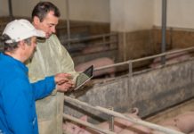 Antibiotika – wer braucht am wenigsten?