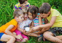 Bei Mitmach-Workshops wird die Natur „gecheckt“