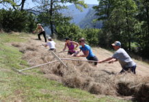 Junge Freiwillige bringen Bergwiesen wieder zum Blühen