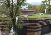 Das Einmaleins für gelungene Dachbegrünungen