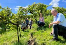 Existenzen sind jetzt gefährdet