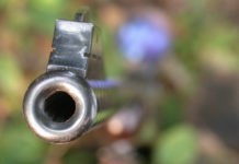 Erfolg bei jagdlichem Schießbewerb für Niederösterreich