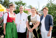 Christbaumbauern rechnen mit guter Ernte