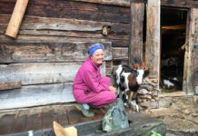 Almgeschichte Folge 5: Eine beschauliche Roas mit der Goaß