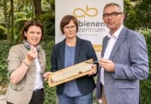 Bilanz der Imker: Wenig Honig, aber gute Qualität