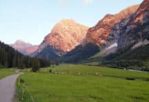 Almgeschichten Folge 4: Hier trifft Almleidenschaft auf Familiensinn