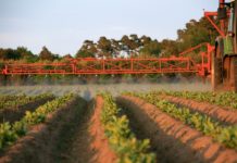 Verbotskultur schürt Abhängigkeiten