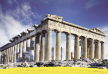 Erfolgreicher Rapsanbau mit LG Apollonia & Architect