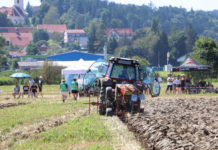 WM-Starter und Lokalmatador