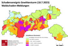 Forstgipfel: Rund 25 Millionen Euro für den Wald beschlossen