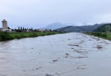Problematisch viel Wasser im Rheintal