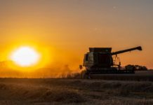 Durchsatzautomaten Pro & Contra