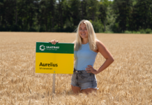 Das beste Sortiment bei Winterweizen