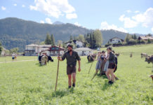 Almgeschichten Folge 9: Ein großer Schritt in meinem (Alm-)Leben