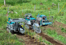 Nachhaltig aufforsten mit der Forstraupe Moritz