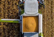 Düngen auf hohe Erträge erfodert Ertragsaufzeichnungen