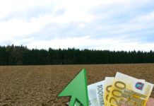 Pachtzins 2023: Agrarpreisindex stieg um über 20 Prozent