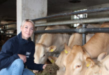 Fleischrinderzucht: “Wer einmal gekostet hat, der kommt wieder”