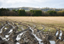 Zu viel Druck ist richtig schädlich