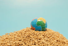 Getreide: Bauernschaft fordert zum Handeln auf