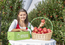 Große Sorgen im Apfelland