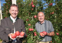 Druck auf Apfelbauern wächst von Jahr zu Jahr