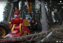 Die Austrofoma 2023 in Video und Bild