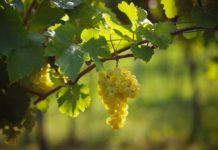 Lokalaugenschein zum Lesestart