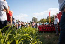 Moderne Technik und Boden im Fokus