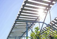 Erste Agri-PV-Apfelernte in Pöchlarn bringt erfreuliche Ergebnisse