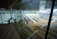 Tierwohl aus Oberösterreich mit Hütthalers Hofkultur