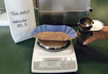 Probstdorfers Sortenwahl im Mahlweizengebiet