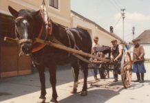 Landwirtschaft nach 1945 im Museum Neupölla