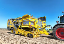 Keiler wird noch besser