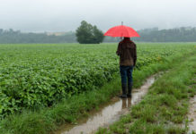 Landmaschinenindustrie: Trübe Aussichten