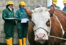 Junge Menschen lieben die Science Academy Niederösterreich