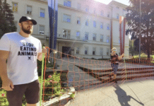 „Abschüsse sind der beste Herdenschutz“