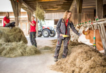 Was bringt das neue Schuljahr Neues?