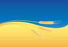 EU-Zuschuss für UA-Getreide