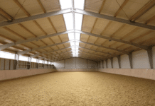 Baumhauer Hallenbau – Pferdesport unter perfekten Bedingungen