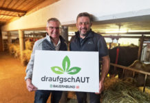 Klarer Blick in die Küche der Plansee Group