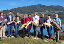 Mehr Fisch anstatt Meerfisch