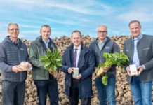 LK NÖ: Verbote beim Pflanzenschutz gefährden den Rübenanbau