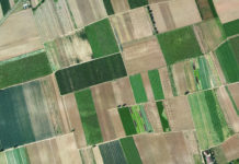 Wenn Boden unbezahlbar wird