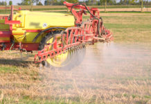 Glyphosat: Frankreich hält sich Entscheidung offen