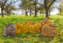 In Deutschland wird der Apfelsaft knapp